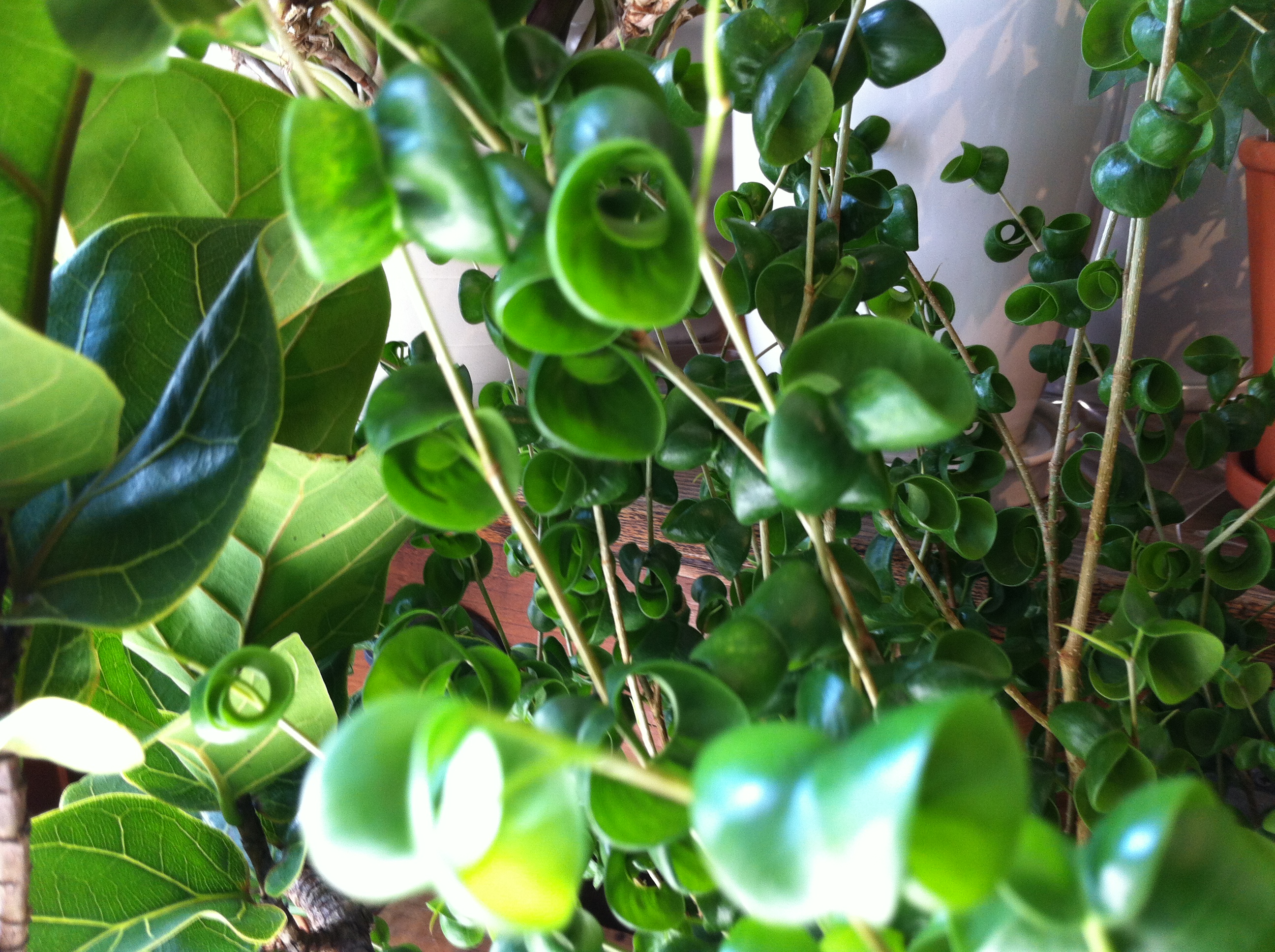 Radio Information　FM845　2012/08/22　14:00-